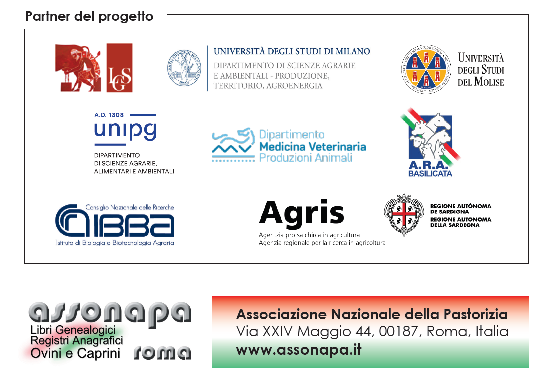 Partner progetto